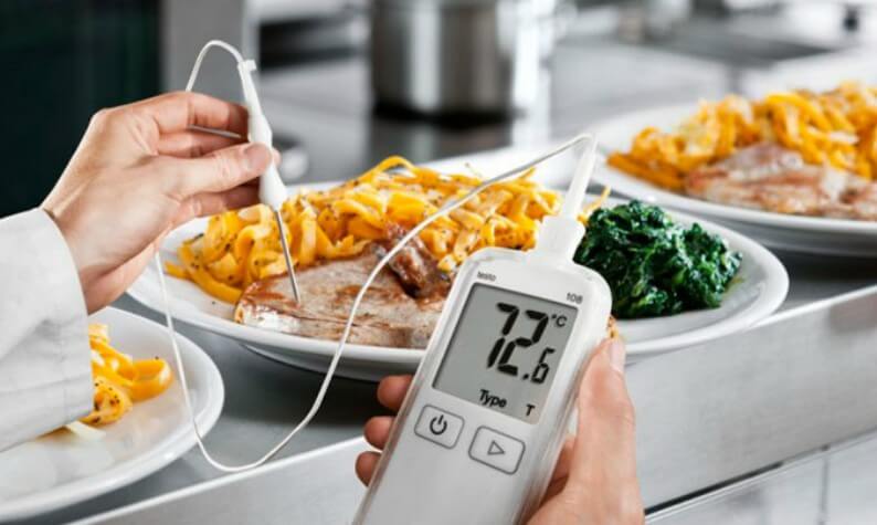 Como usar termômetro para carne (temperatura de cada ponto)